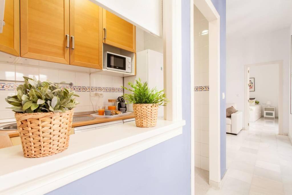 Hostly Rivero 2b Center-fibre-communal Terrace-parking Optional-cless